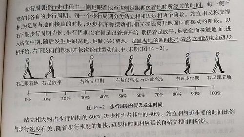 如何锻练后脚跟着地