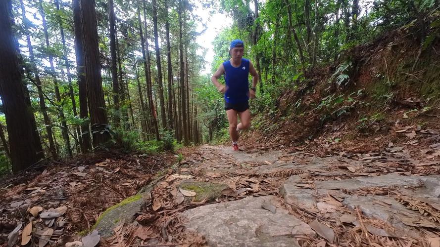 初级越野跑如何训练