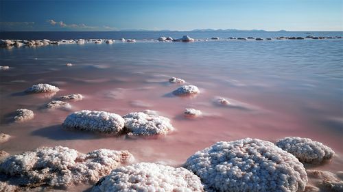 中国死海在哪里