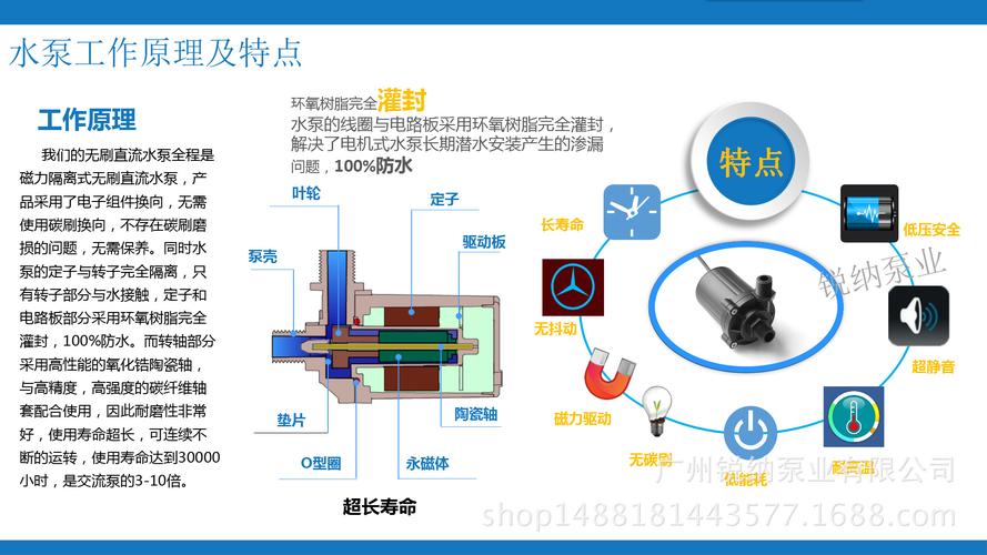 循环泵震动什么原因