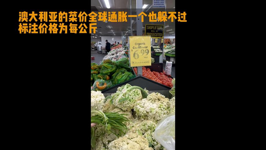 澳洲蔬菜为什么贵