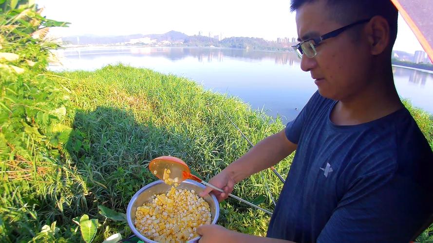 如何用老玉米制作窝料和钓饵