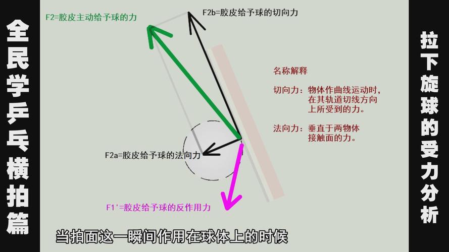 乒乓球的基本技术有哪些