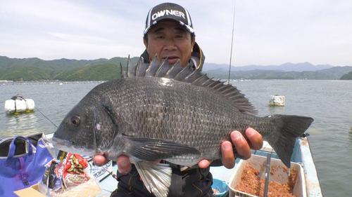 海钓乌头用什么饵料