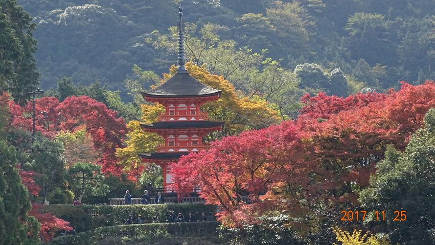 日本京都景点推荐是什么