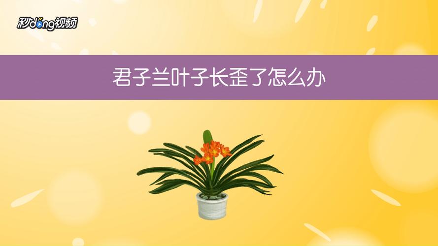 金银花烂根怎么处理