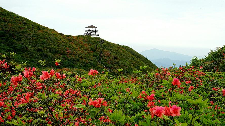 浏阳周边景点有哪些