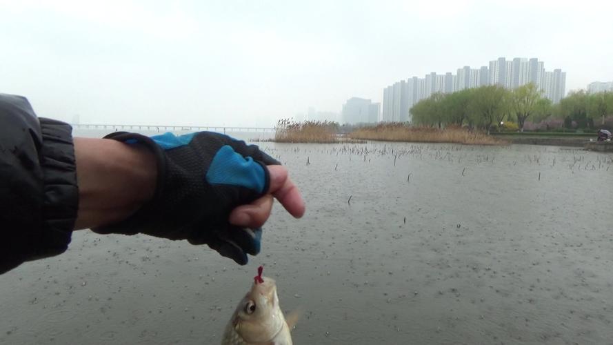 下雨天钓鱼怎么样