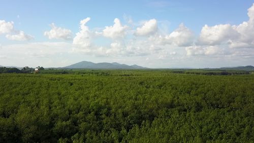 泰国橡胶主产区在哪里