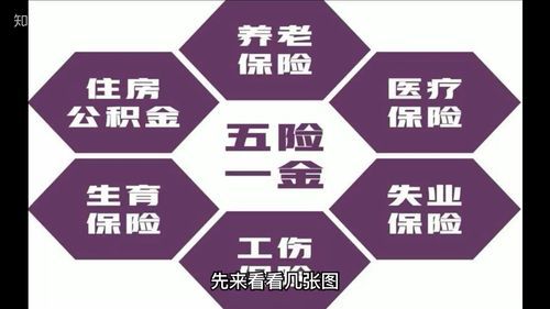 五险一金指什么