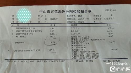 hcg是什么意思