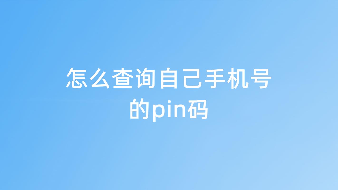 pin码是什么