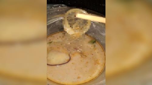 什么样的恶心是了-墨子百科 什么样的恶心是了