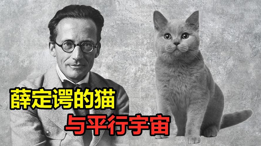 薛定谔的猫是什么意思