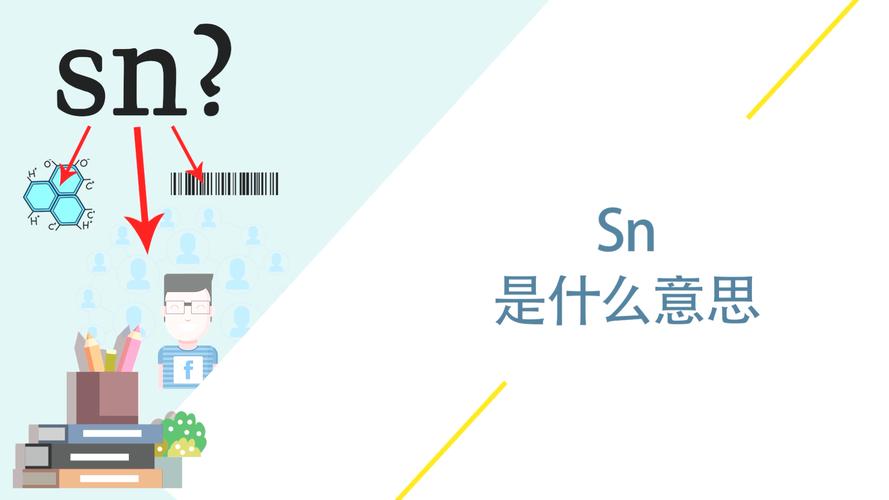 sn是什么意思啊