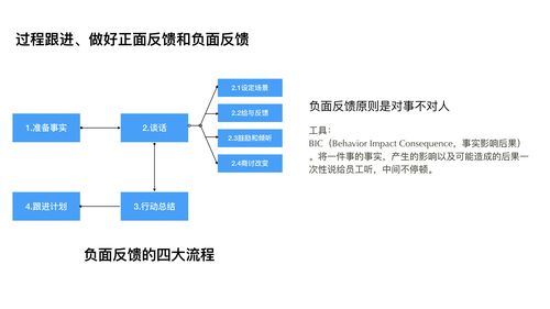 反馈是什么意思