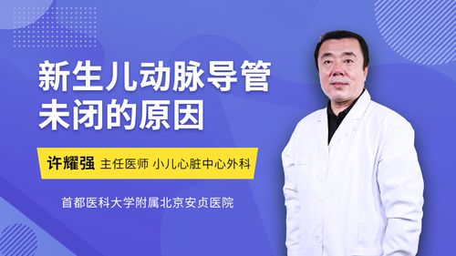 导管是什么意思