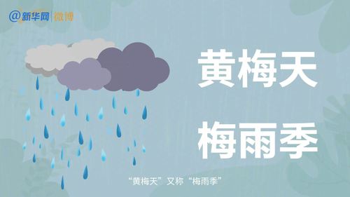 梅雨季节是什么时间