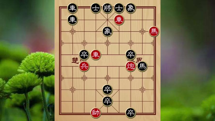 老6是什么意思