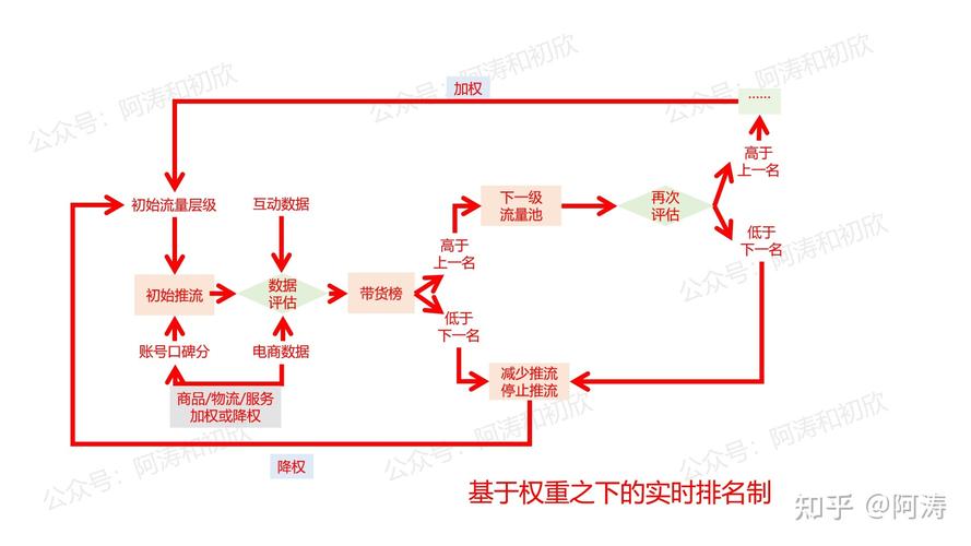 权重是什么意思