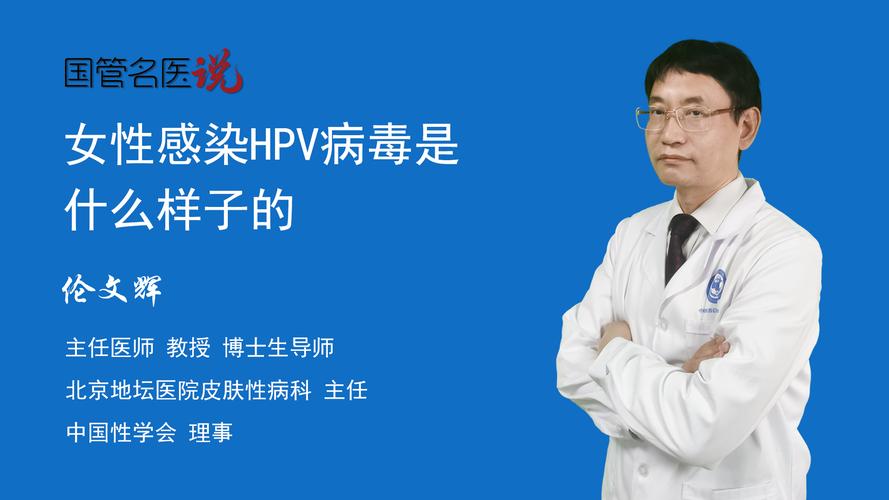 hsv毒是什么意思