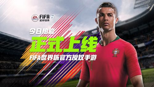 fifa是什么意思