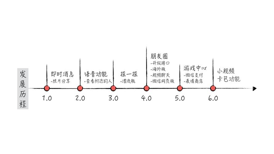 载体是什么意思