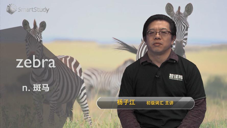 zebra是什么意思