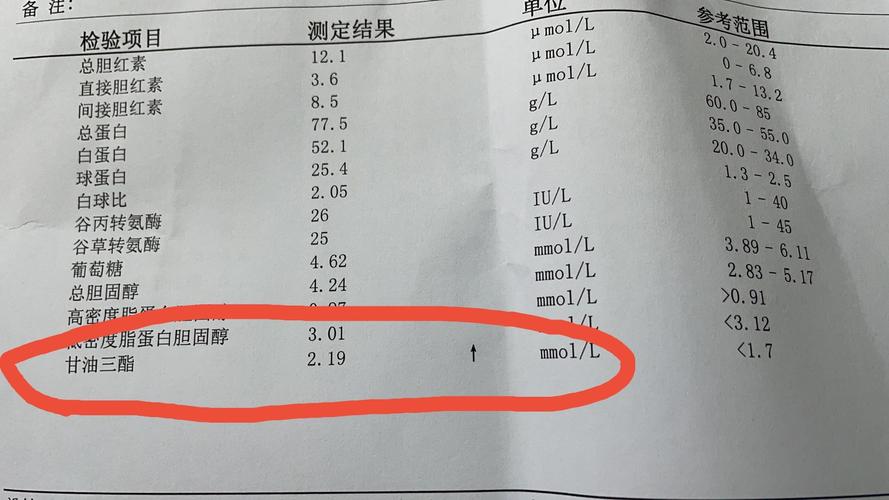 甘油三酯是什么意思