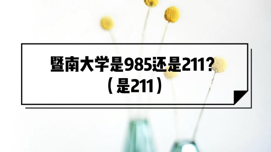 什么是211大学