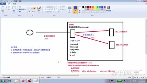 脚本是什么意思