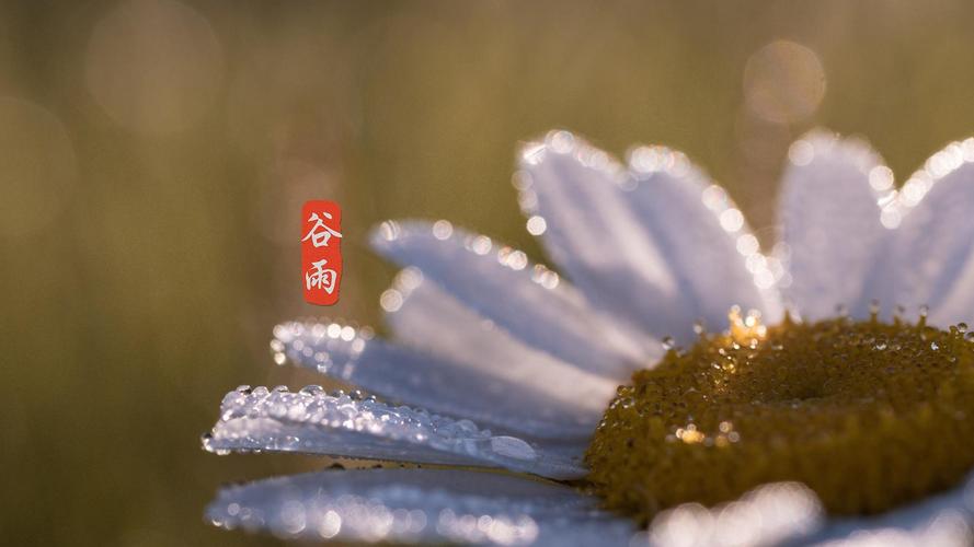 谷雨是什么意思