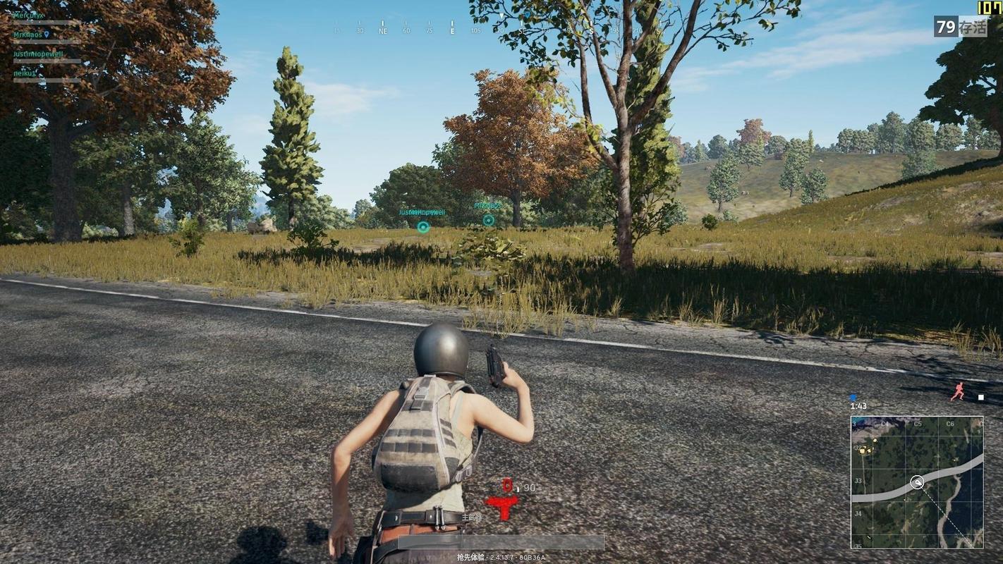 pubg是什么游戏