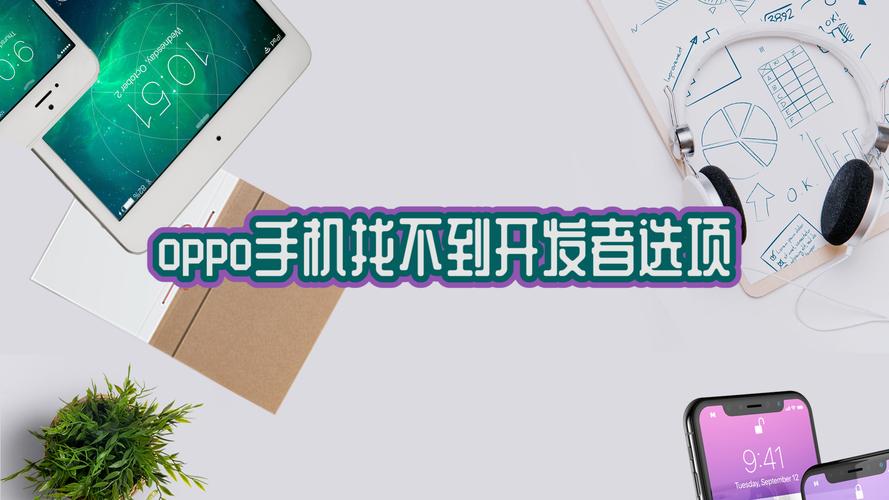 oppo开发者选项在哪里