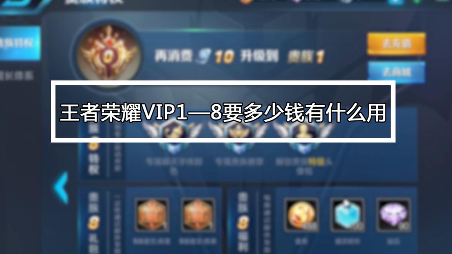 王者荣耀vip在哪里看