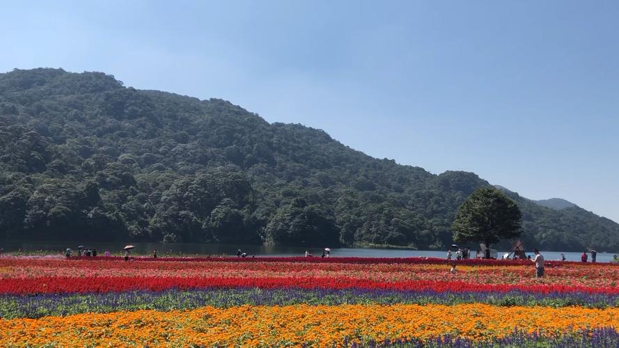 石门国家森林公园在哪里