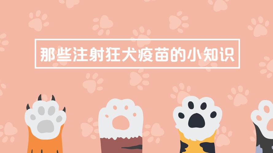 合肥哪里可以打狂犬疫苗