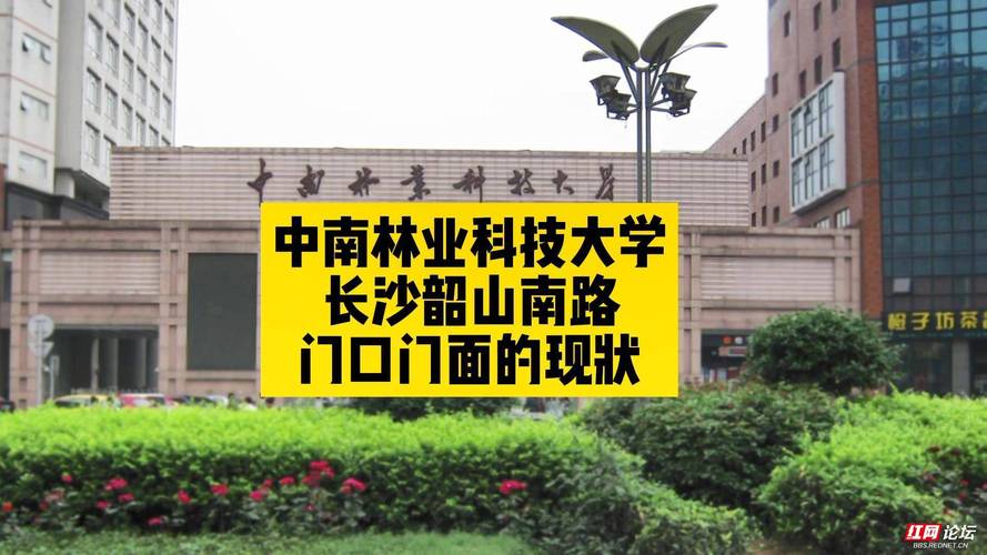 中南林业科技大学在哪里