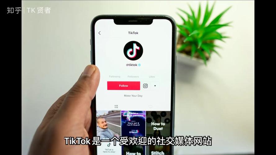 tiktok和抖音什么关系