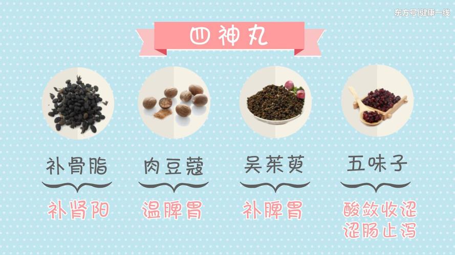 脾肾阳虚吃什么中成药