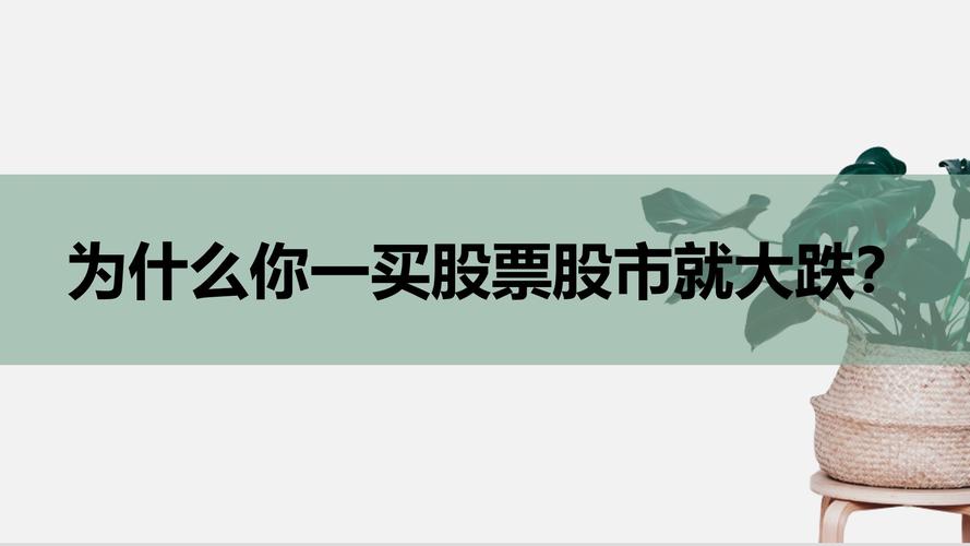 股民买股票的钱去哪里了