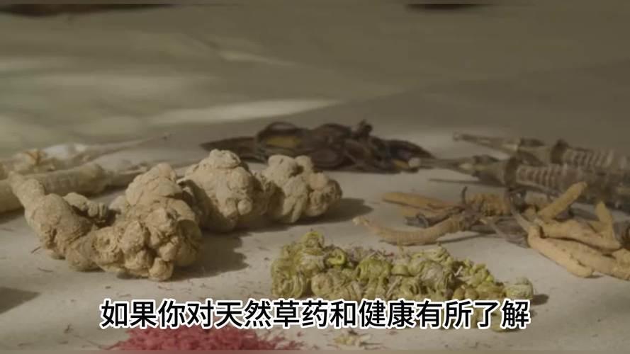 三七花泡水喝有什么功效和作用