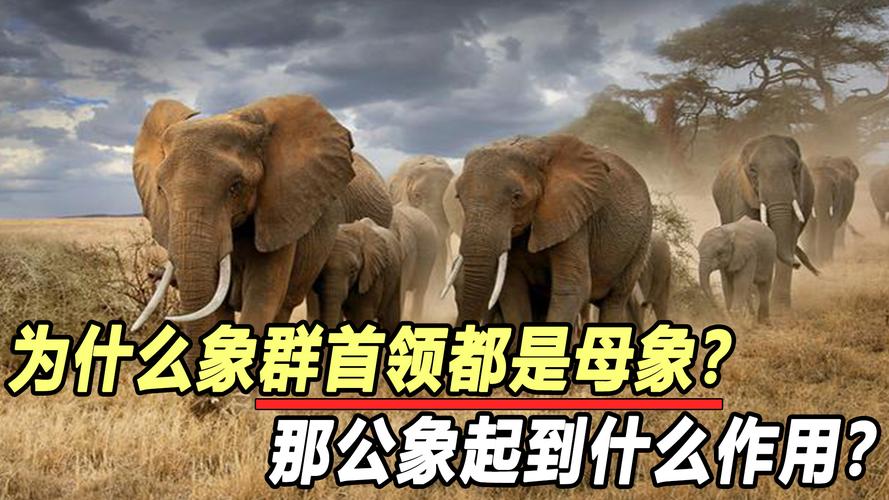 scenery是什么意思-墨子百科 scenery是什么意思