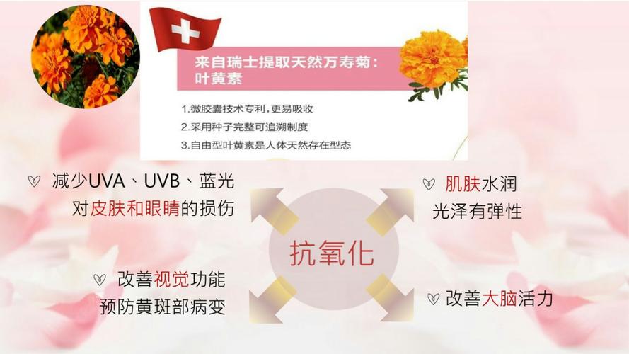 叶黄素对眼睛有什么好处和作用-墨子百科 叶黄素对眼睛有什么好处和作用