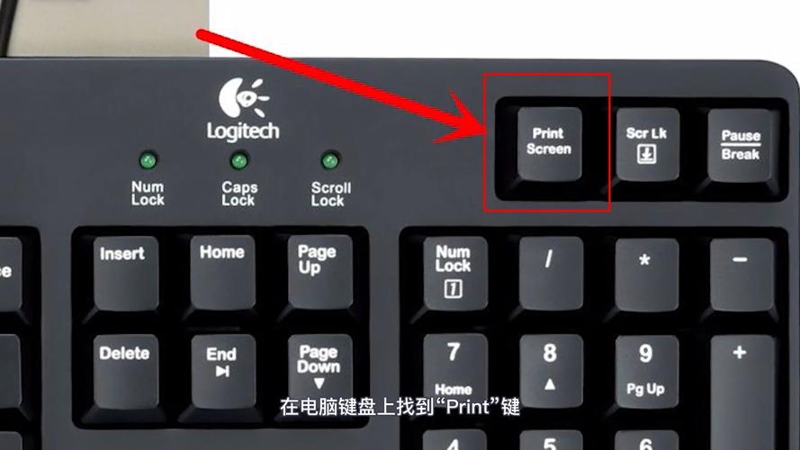 电脑上怎么截图按什么键