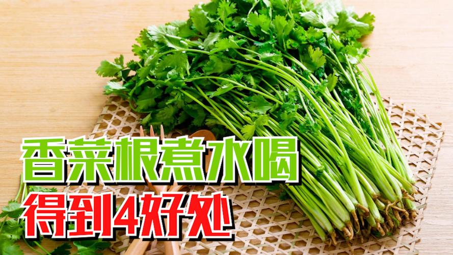 香菜根煮水喝有什么功效