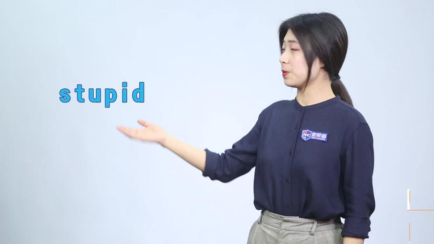 stupid是什么意思