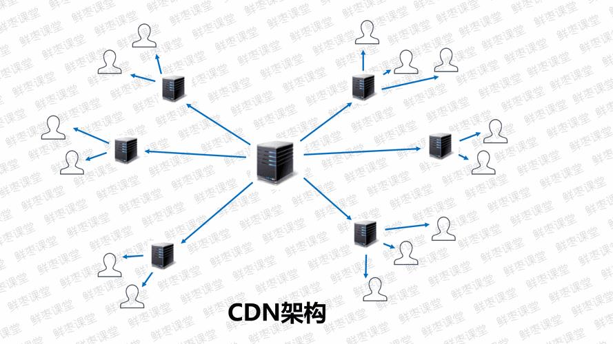 network是什么意思