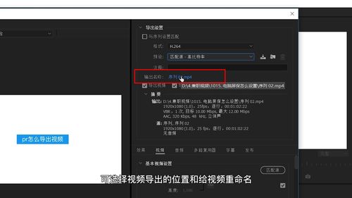 pr怎么导出视频在哪里