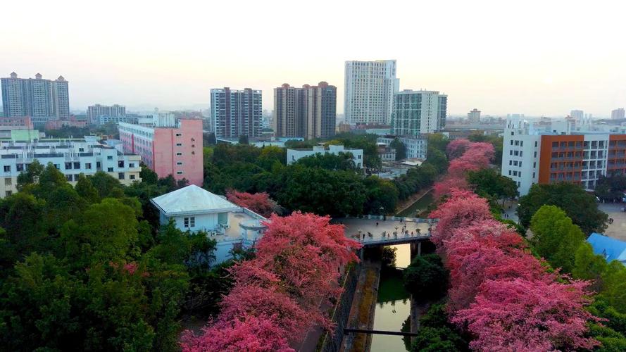 广州大学松田学院在哪里